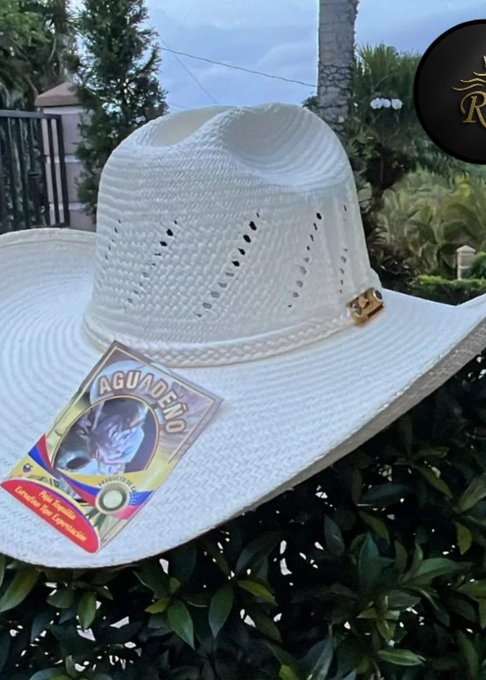 Sombrero Blanco Corona Alta